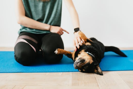 Come educare un cane che tende a scappare? 5 strategie utili per prevenire le fughe