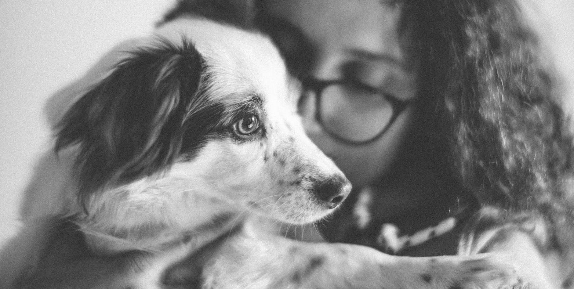 Chi detiene il primato di longevità tra i cani nel mondo?