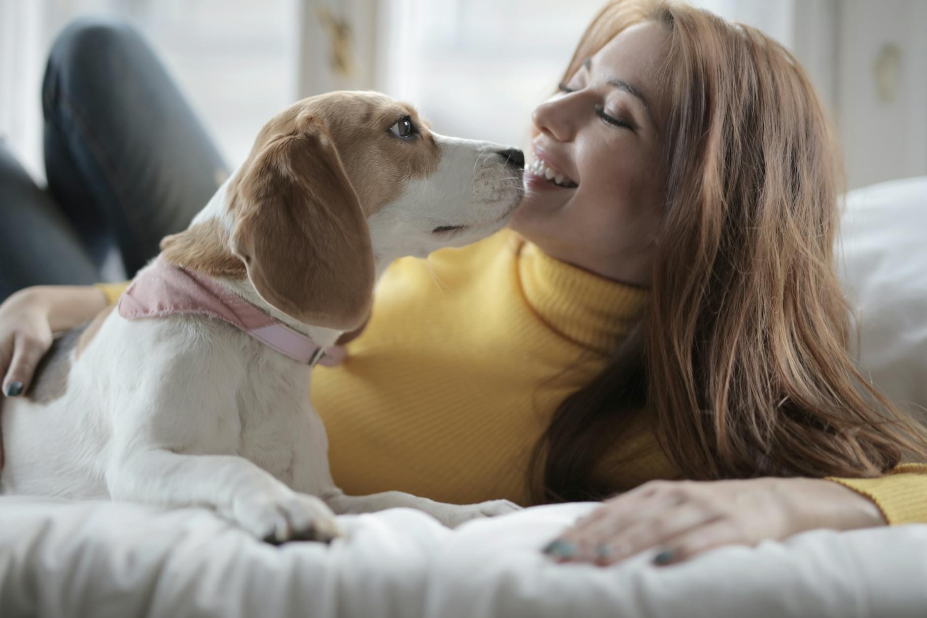 La scienza conferma: convivere con animali allunga la vita