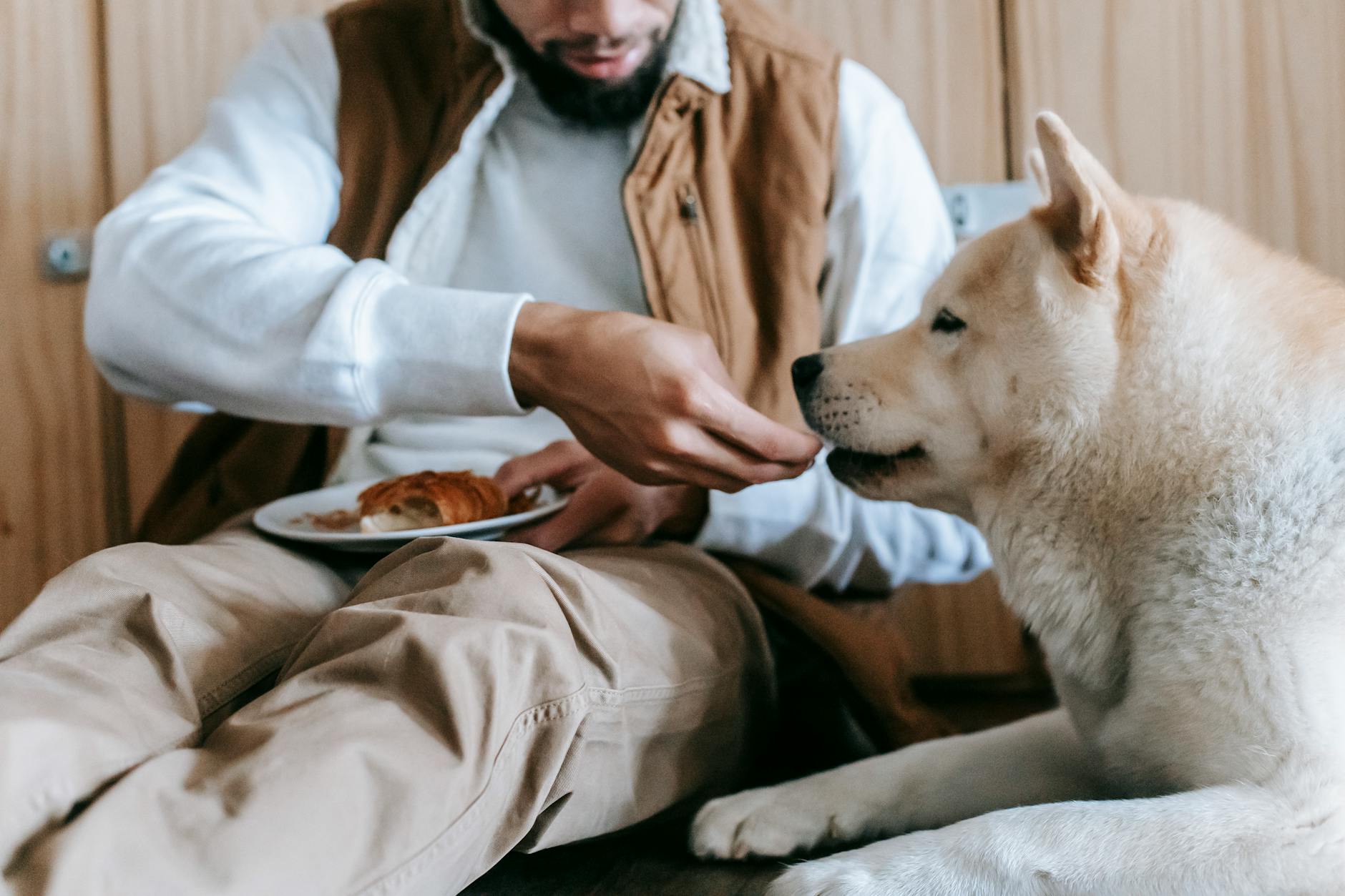 “Cavalli animali d’affezione, non cibo”: proposta di Brambilla