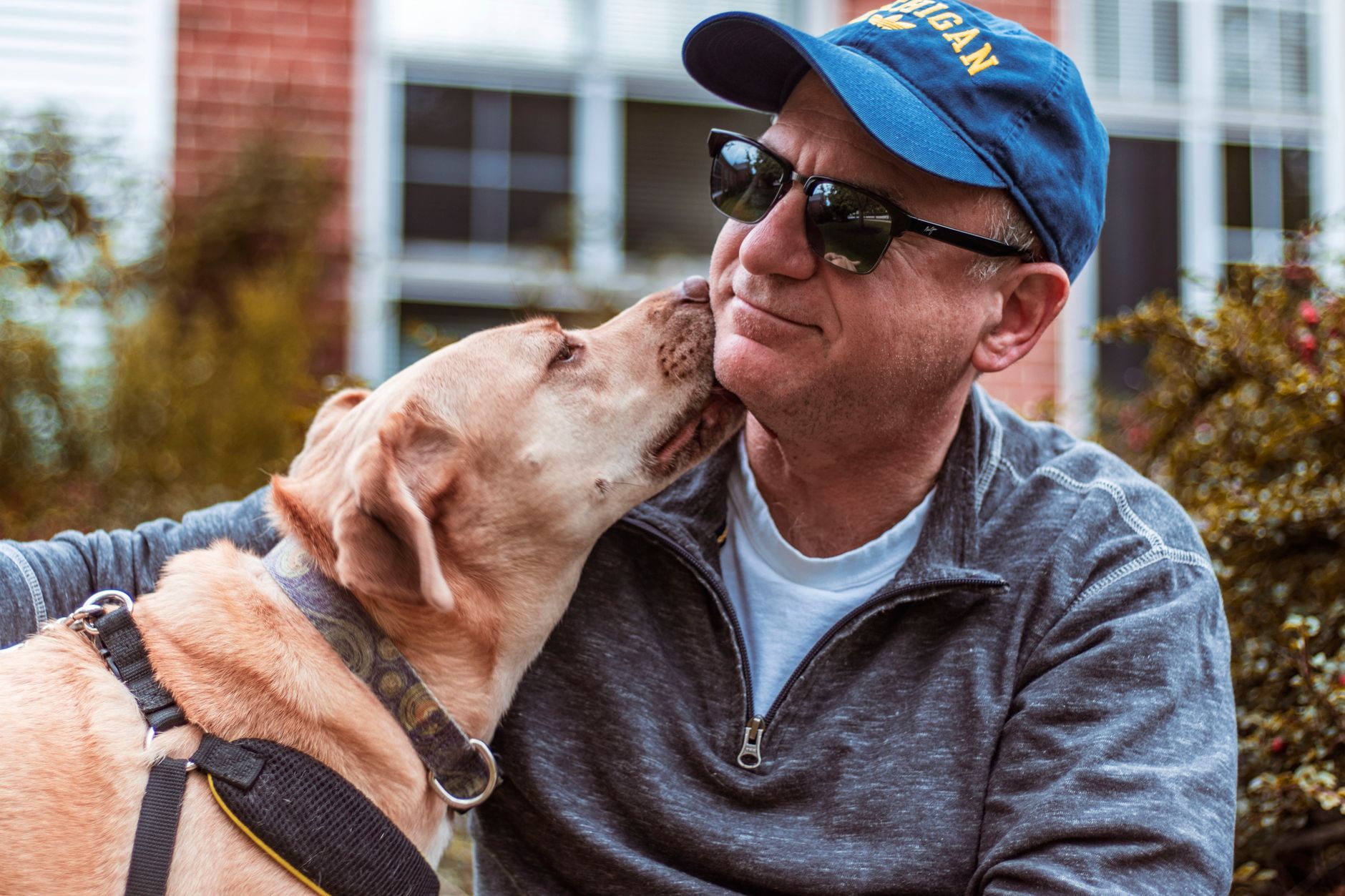 Razza e Personalità del Cane: Cosa Dice la Scienza e 10 Esempi Pratici