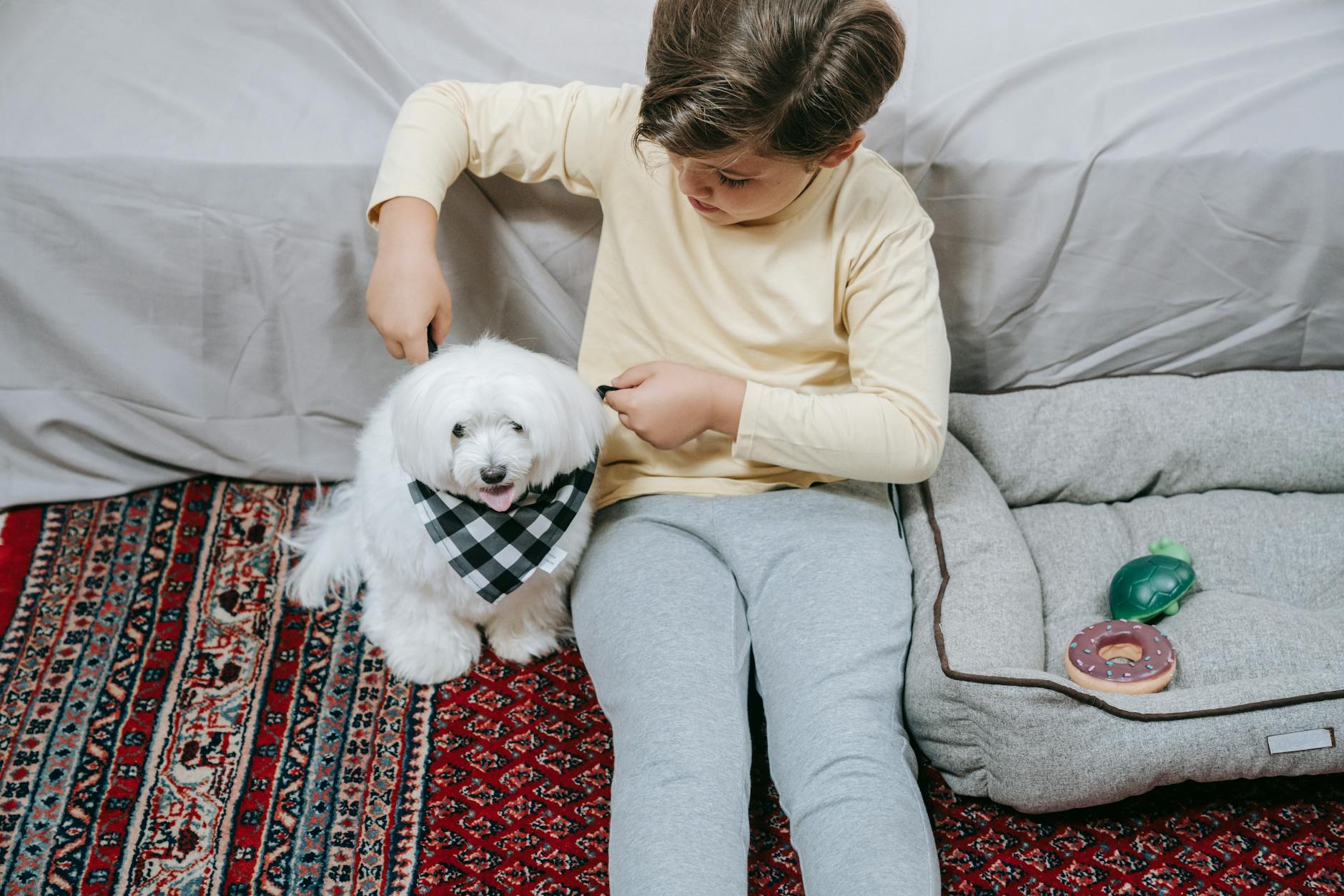 Maltese